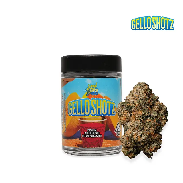 Gello Shotz | Big Buds | 7g