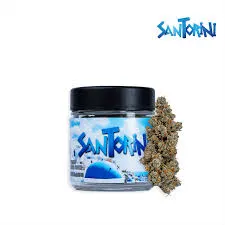 Seed Junky - Flower: Santorini