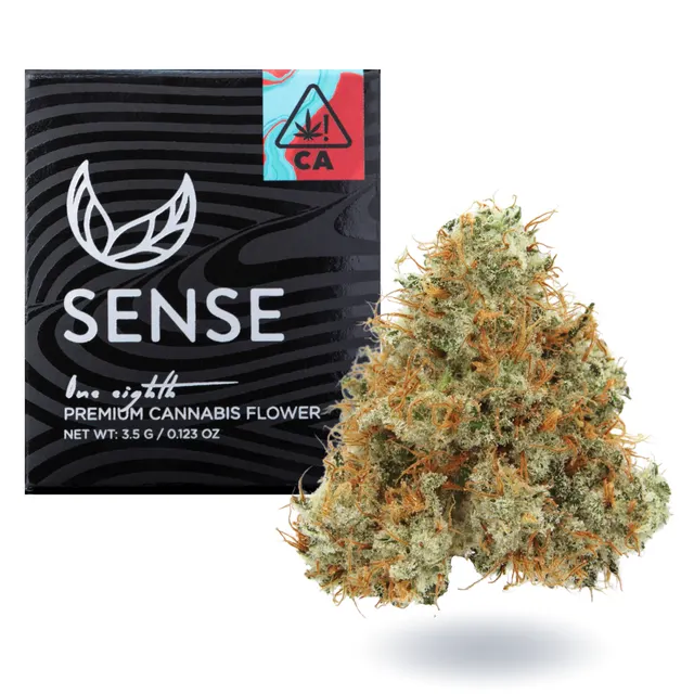NORTHERN LIGHTS - EIGHTH