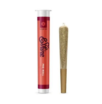 & Shine Preroll Fruitcake 1g