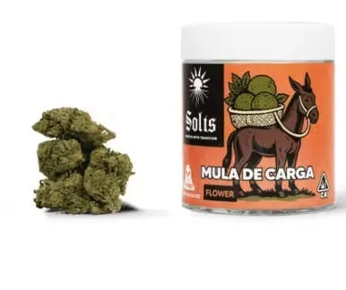 Solis | Mula de Carga | Flower | Hybrid 14g