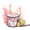 Cherry Burst
