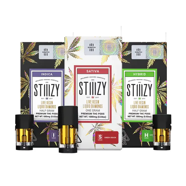 Northern Lights
