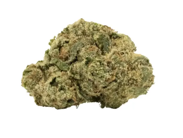 Stiiizy - Sunset Sherbert