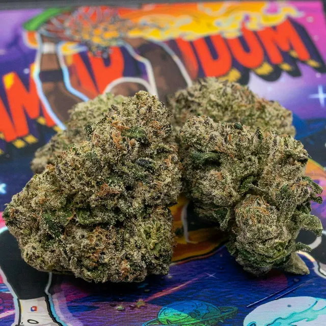 Teds Budz | Lamar Odom | 3.5g