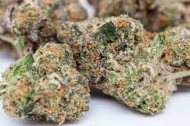 GSC - $30 3.5g Bag