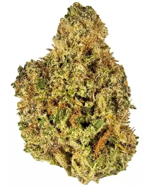 Satsuma Sherbet - $30 3.5g Bag