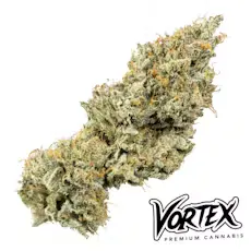 Bergamot Premium Flower