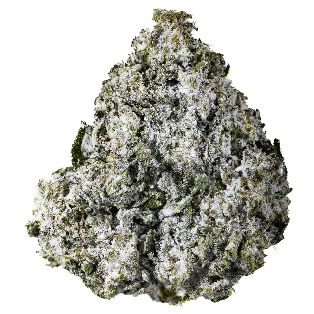 Modified Sunset - 7G Diamond Infused Premium Flower