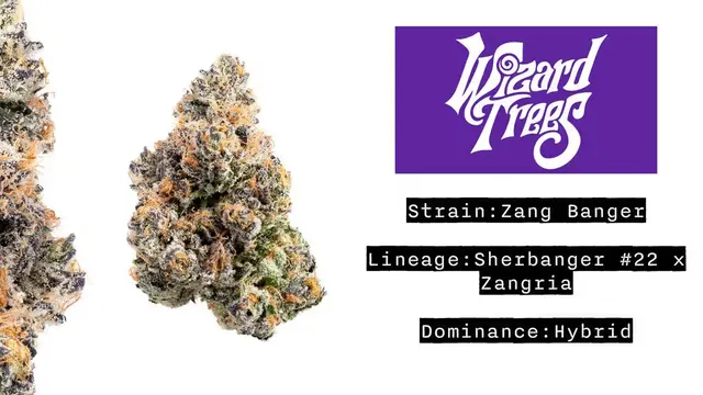 Zangbanger