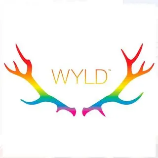 Wyld One | Raspberry Lime 1:1 | Single Gummy 100mg